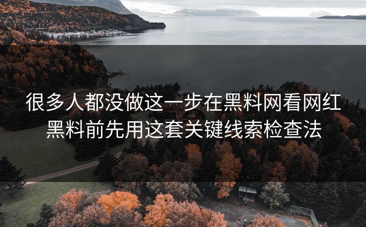 很多人都没做这一步在黑料网看网红黑料前先用这套关键线索检查法